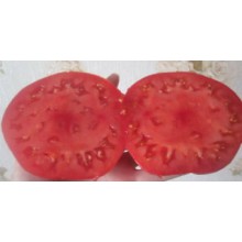 Редкие сорта томатов Топол
